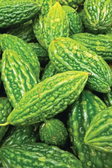Bitter Gourd